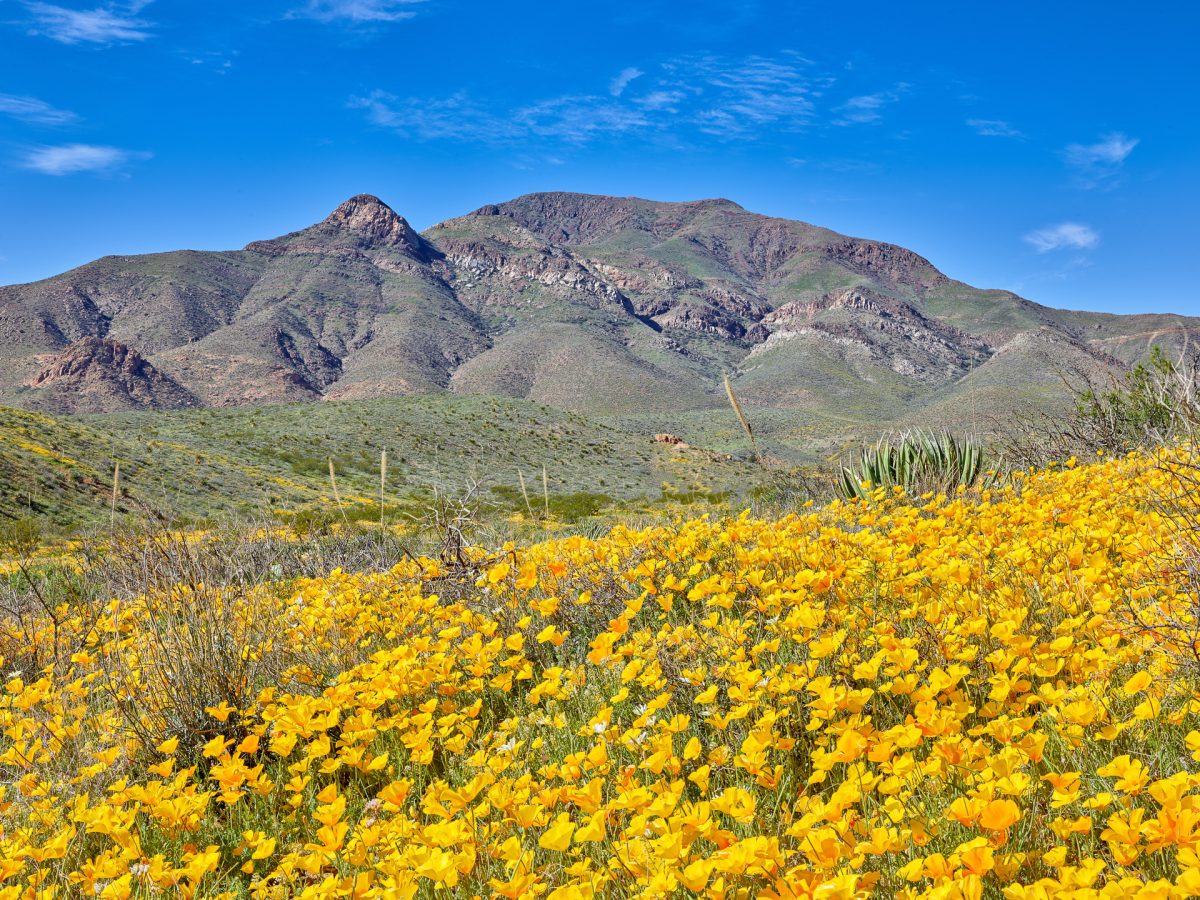 Landscape - El Paso Professional Photographer